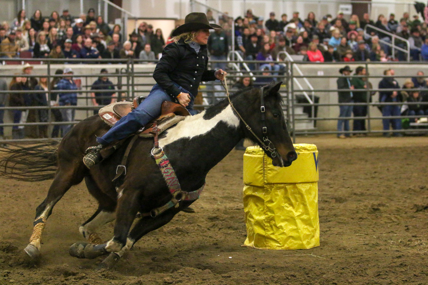 BullBash-61.JPG